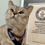 Screenshot 2025-07-06 at 17.12.25