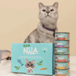 Screenshot 2025-07-06 at 17.13.00